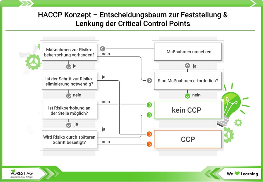 Der Entscheidungsbaum im HACCP Konzept